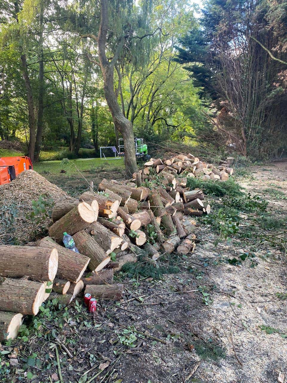 This is a photo of a wood area which is having multiple trees removed. The trees have been cut up into logs and are stacked in a row. Cotgrave Tree Surgeons
