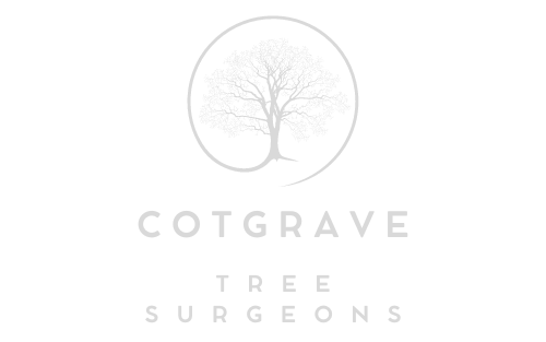 Cotgrave Tree Surgeons